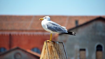 Aydınlatma Kulesi: Etkili Çözümler İçin İpuçları