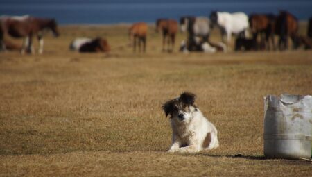 Aydınlatma Kulesi: Fark Yaratan Tasarımlar